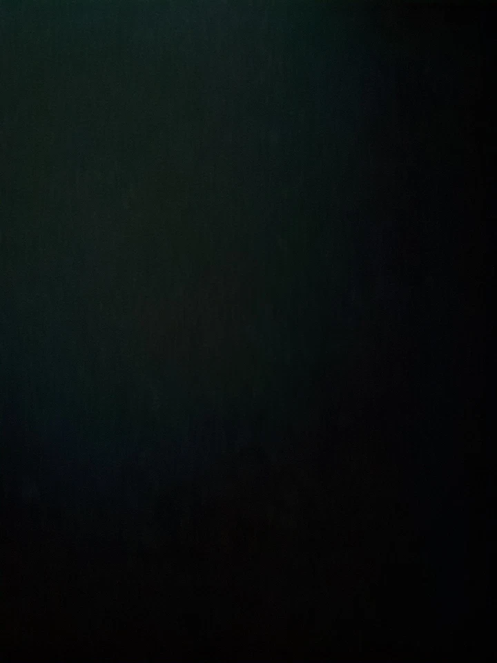 2010-2013 Kia Forte Driver Front Seat Oem WUPFF - Изображение 1 из 1