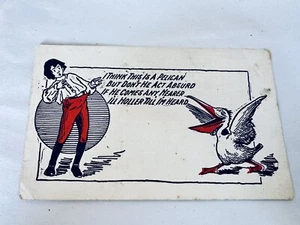 Postcard “I Think This Is A Pelican But Doesn’t He Act Absurd…  #795 - Picture 1 of 2