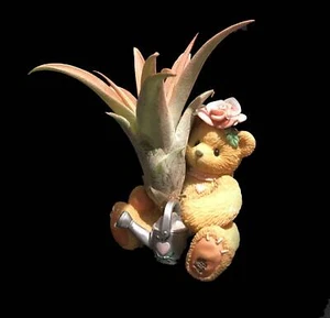 Tilla Critters Rosie One of a Kind Airplant Creations by Chili Fiesta Handiworks - Picture 1 of 5
