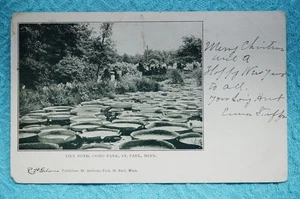 Lily Pond - Como Park - St. Paul, Minnesota - Bild 1 von 2
