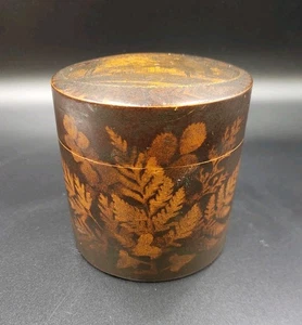 Antique Maucline Fern Ware Tea Caddy, Cylindrical, Dome Top, W & A Smith, 1870s - Picture 1 of 11