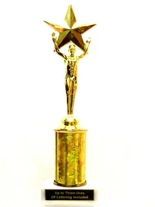 S&S BEAUTY PAGEANT MALE STAR VICTORY #2 - Imagen 1 de 4