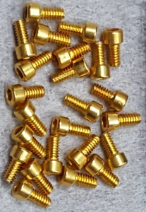 Lote de 24 tornillos chapados en oro #05990-21251 hp pieza de filtro masivo. - Imagen 1 de 2