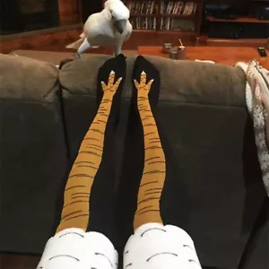 Chicken Turkey Feet Animal Cute Crew Socks Print Men Women Gag Gift Crazy - Picture 1 of 7