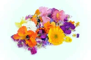 SEMILLAS DE FLORES COMESTIBLES 10 PAQUETES Ensaladas Decoraciones Comestibles Flor Jardín Fácil Crecimiento - Imagen 1 de 1