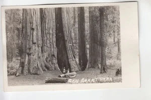 Echt Foto Postkarte Zwei Kinder spielen zwischen den Redwoods im Gen Grant Park CA - Bild 1 von 1
