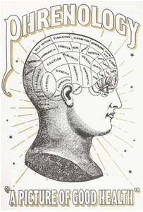 Coloring/Colour In Poster - Phrenology - Vintage Inspired - 60cm x 42cm - Bild 1 von 2