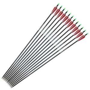 12PCS 28" Carbon Arrows 3" Vane Spine 500 Compound Recurve Bows Hunting - Picture 1 of 13