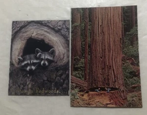 2 California Redwoods Magnets - Picture 1 of 7
