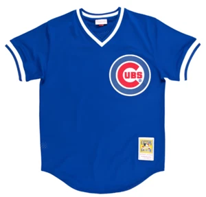 Mitchell & Ness Youth Ryne Sandberg Royal Chicago Cubs Batting Practice Jersey - Picture 1 of 6