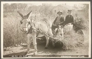 FOTO REAL DE ARKANSAS RPPC-HOMBRE MUJER Y PERRO CARRO DE HENO TIRADO POR BURRO-“EN NUESTRO CAMINO” - Imagen 1 de 3