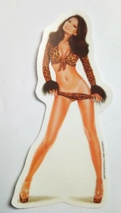 Pin Up Aufkleber Sticker Leanna Transparent Konturgestanzt ca. 7,5 x 16 cm - Bild 1 von 2