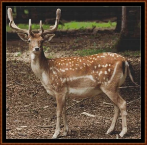 FOREST CREATURES - DEER cross stitch pattern (punto cruz) - Picture 1 of 5