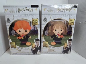Hermione Granger y Ron Weasley Inflable Mundo Mágico Harry Potter - Imagen 1 de 3