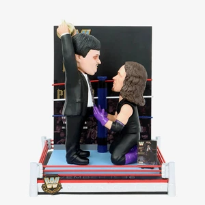Paul Bearer & The Undertaker Rest In Pieces WWE Magazine Cover Bobblehead WWE - Picture 1 of 1