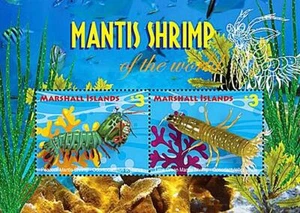 MARSHALLS 2020 MANTISS CAMARÓN S/S ** VIDA MARINA 💲ENVÍO GRATUITO💲 - Imagen 1 de 1