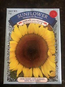 Sunflower - Mammoth Russian - 100% Non-GMO American Seeds - Net wt 2g