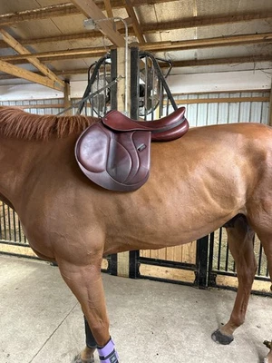 Solapa Devoucoux Biarritz O 2020 18" 3AA Foto 1 de 3