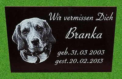 Tiergrabstein Fotogravur Grabstein Granit Gedenkstein Wunschgravur - Bild 1 von 3