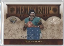 2008 Donruss Classics Membership VIP Jerseys /250 David Garrard #M-12