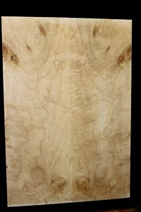 Silver maple, burl / lace figured guitar book matched top. - Picture 1 of 8