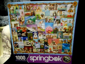 Animal Quackers - Rompecabezas Springbok 1000 piezas ¡Nuevo! - Imagen 1 de 4