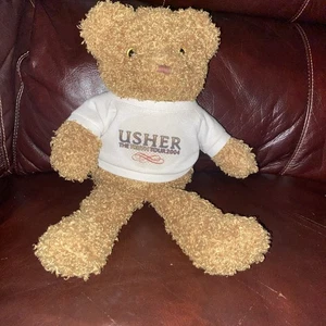 Vintage 2004 Usher The Truth Tour Konzert Stofftier Plüschbär ~ RAR - Bild 1 von 4