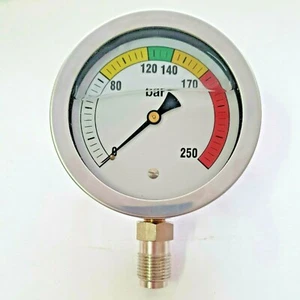Manometro 250 Bar pressa attacco inferiore acciaio inox Gallignani Werger 66.310 - Foto 1 di 9