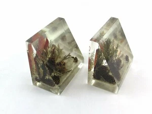 Vintage Lucite Bookends Autumn Nature Scene Leaves Pine Cones Mid-Century - Picture 1 of 7