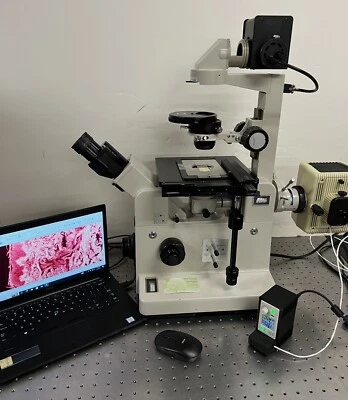 Microscopio invertido fase fluorescente LED de banda ancha mejorado Nikon Diaphot TMD Foto 1 de 4