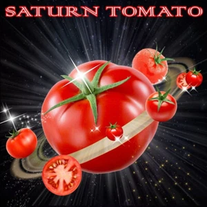 10 x SATURN TOMATO SEEDS-JUICY SWEET-LARGE FRUIT-VEGETABLE GARDEN VINE PLANTS - Picture 1 of 10
