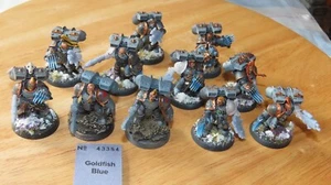 Games Workshop Warhammer 40k Space Wolves Wolf Pack Assault Marines bemalt GW - Bild 1 von 24
