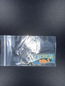 Vintage Souvenir Schlüsselanhänger GEORGIA USA Keychain PEACHES - Bild 1 von 2