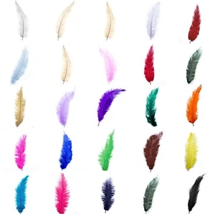 Ostrich Feathers - 10" - 12" / 25cm - 30cm - Pick Quantity lot / 25 Colours - Picture 1 of 24