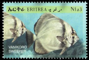 ERITREA 333d - Humpback Batfish "Platax batavianus" (pb93828) - Picture 1 of 1