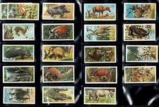 Lot 43/50 BROOKE BOND African Wildlife Tea Cards - All Good to Excellent Cond