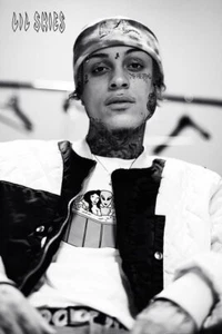 LIL SKIES MUSIC POSTER RAP hip hop TRAP SOUNDCLOUD emo POP 36x24" Rolled - Picture 1 of 13