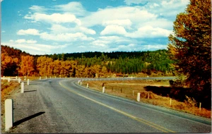 Bend In The Highway de colección sin publicar - Imagen 1 de 2