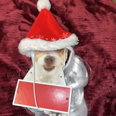 Disfraz de Papá Noel de Navidad con barba mascota perro Foto 1 de 3
