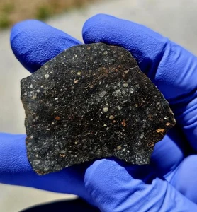 Meteorite**NWA 13758, R3**5.395 gram, Spectacular Slice W/Insane Dual Lithology - Picture 1 of 14