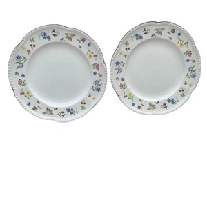 2er Set Johnson Brothers "Fleurette" 10 3/4" Essteller mit Blumenrand UK - Bild 1 von 12