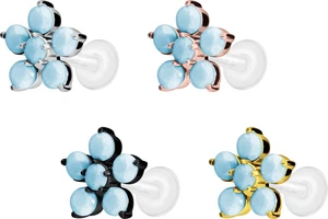 PIERCINGLINE  Piercing Stecker PTFE Labret mit Innengewinde + Titan-Aufsatz - Bild 1 von 9