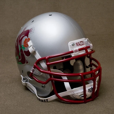 WASHINGTON STATE COUGARS Schutt XP Full Size AUTHENTIC Gameday Football Helmet Cover