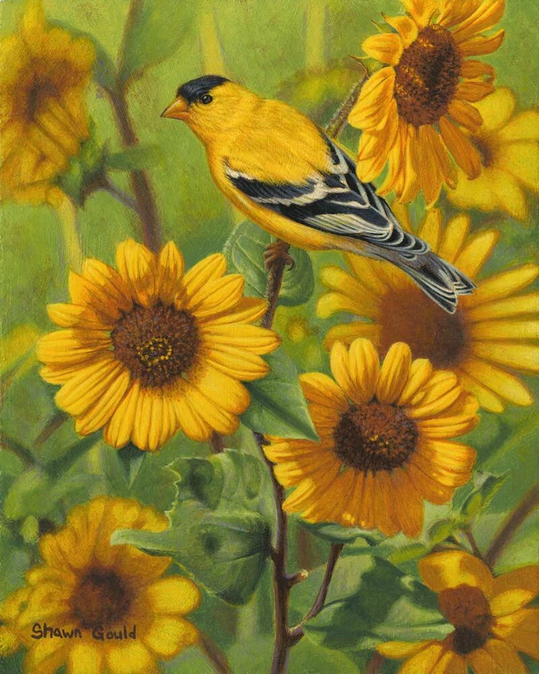 Mural de azulejos de cerámica salpicadero de cocina - día soleado - pinzón pájaro girasoles florales Foto 1 de 1