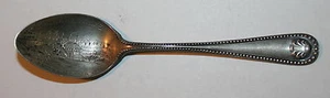 Vintage Spokane Falls, Spokane Wash Sterling Silver 3 3/4" Souvenir Spoon - Picture 1 of 4