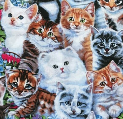 Kitty Portraits - Kittens and Cats Animal Print - Quilt Fabric - Fat Quarter - Image 1 of 3