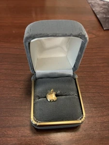 Gold Apple Dealer Award Lapel Pin - Picture 1 of 3