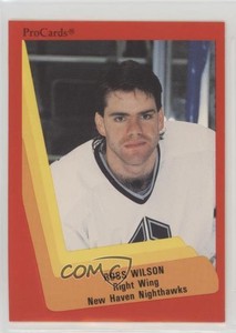 1990-91 ProCards Ross Wilson #437