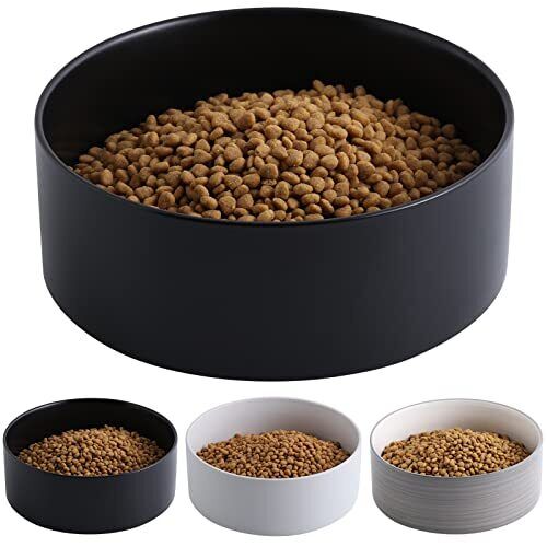 Home - PetWeighter – Weighted Pet Bowl USA