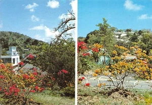 972-MARTINIQUE SAINTE ANNE-N�3717-C/0049 - Picture 1 of 2